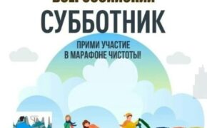 Брянщина присоединится к масштабному Всероссийскому субботнику