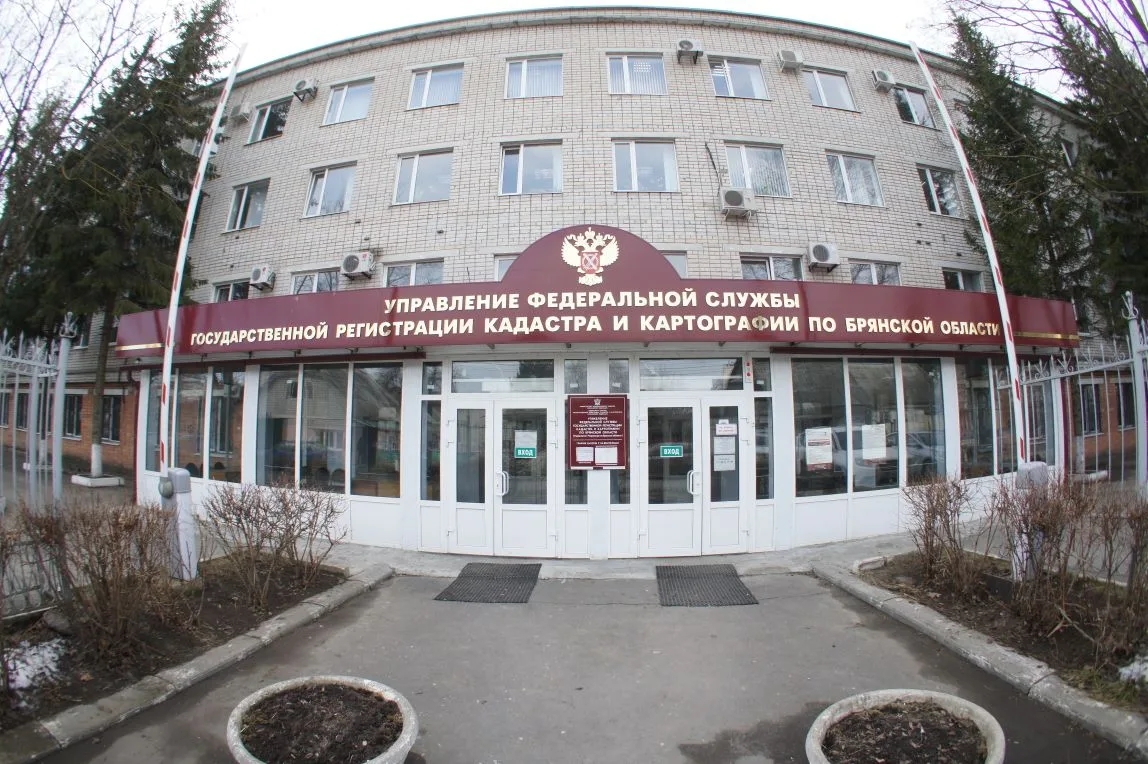 Росреестр подвел итоги надзора за арбитражными управляющими в Брянской области