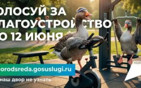 Стартовало голосование за объекты благоустройства: как россияне меняют свои города