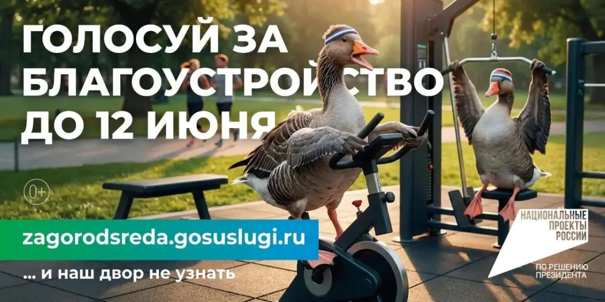 Стартовало голосование за объекты благоустройства: как россияне меняют свои города