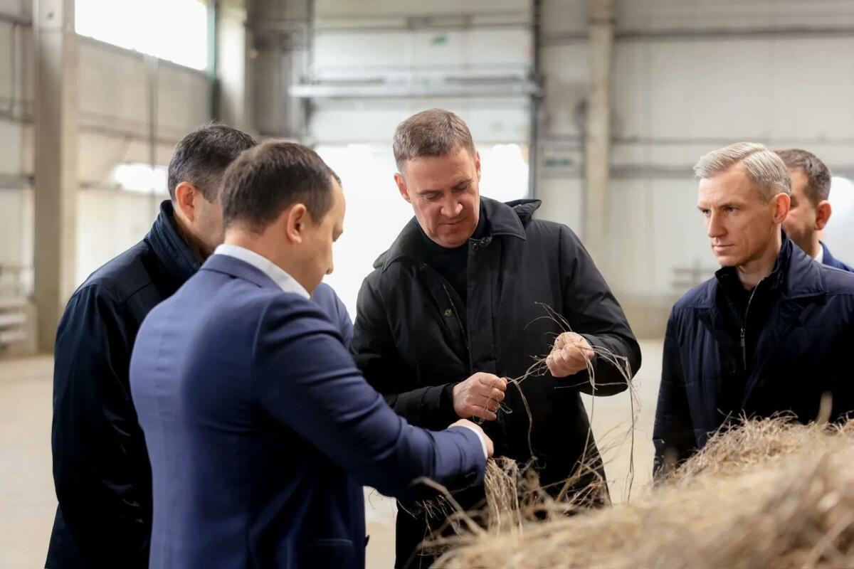 Льняные просторы