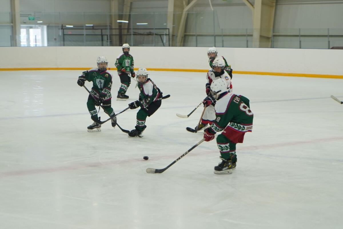 Кубок губернатора Брянской области по хоккею выиграли орловские спортсмены