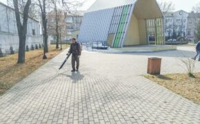 Более 1100 мероприятий пройдут в парках Брянска летом