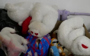 Киевский режим проведет принудительную эвакуацию детей