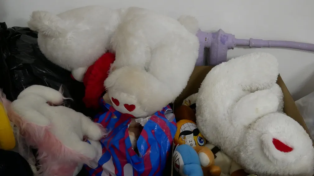 Киевский режим проведет принудительную эвакуацию детей