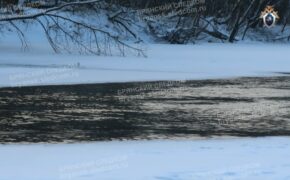 Тело жительницы города Брянска достали из реки в конце марта