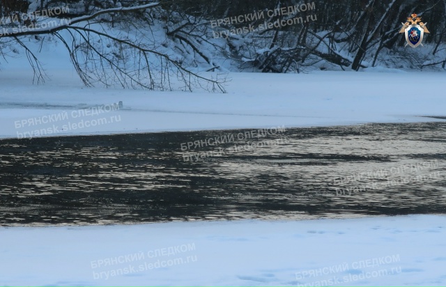 Тело жительницы города Брянска достали из реки в конце марта