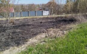 Шесть ландшафтных пожаров потушили спасатели за день в Брянске