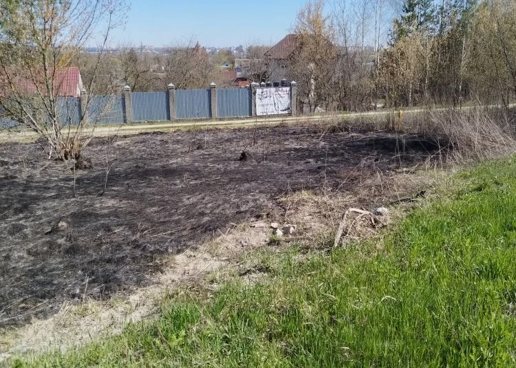 Шесть ландшафтных пожаров потушили спасатели за день в Брянске