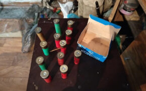 383 патрона изъяли полицейские за два дня в Брянской области