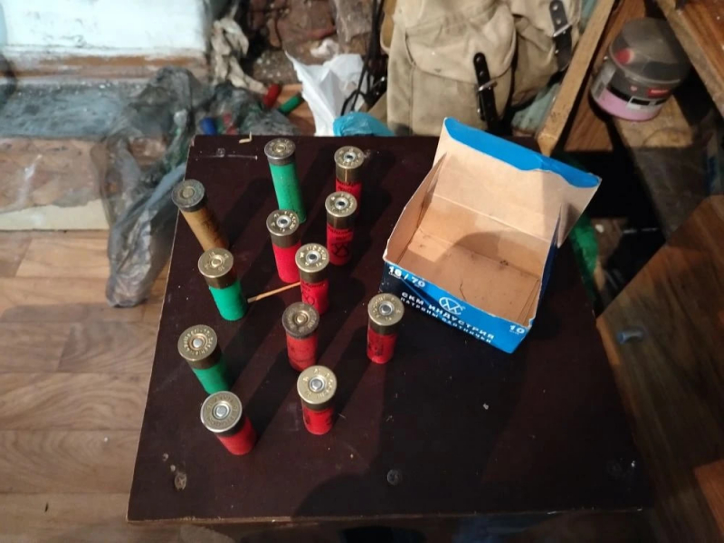 383 патрона изъяли полицейские за два дня в Брянской области