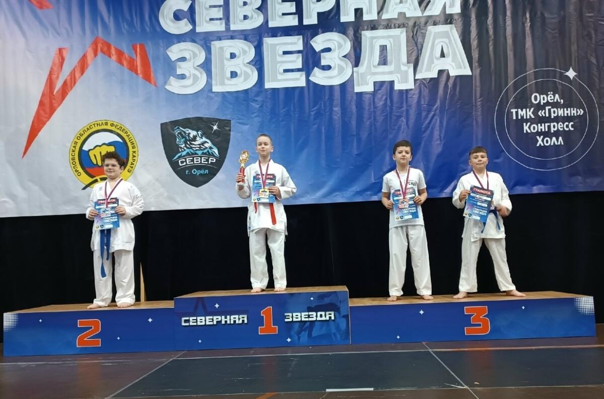 Каратисты из Брянска завоевали пять медалей на турнире «Северная Звезда»