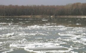В Брянской области затапливает дома и дороги из-за половодья