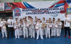 Брянские каратисты завоевали 16 медалей на турнире по киокусинкай