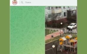 Пострадавшей от лошади на детской площадке в Брянске девочке выплатят компенсацию