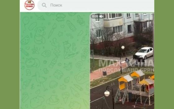 Пострадавшей от лошади на детской площадке в Брянске девочке выплатят компенсацию