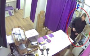 Кражу товаров из пункта выдачи заказов раскрыли полицейские в Брянске