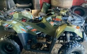 Брянца ждёт суд за пьяное вождение и оскорбление полицейского