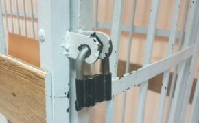 Брянец отправился в колонию за финансирование террористического движения