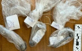 Жительница Брянска получила условное наказание за организацию наркопритона