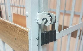 Двое брянцев лишились свободы за хищение гранта на развитие сельхозпредприятия