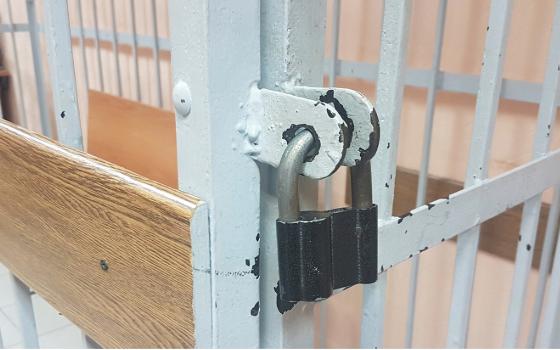 Двое брянцев лишились свободы за хищение гранта на развитие сельхозпредприятия