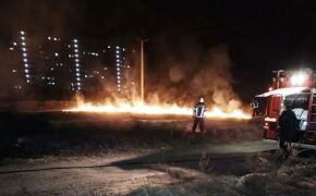 Шашлыки, мангалы и сухая трава: МЧС напомнило брянцам правила безопасности перед тёплой неделей