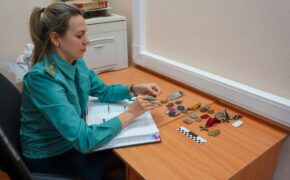 Контрабанду антиквариата из Европы пресекли таможенники в Брянской области