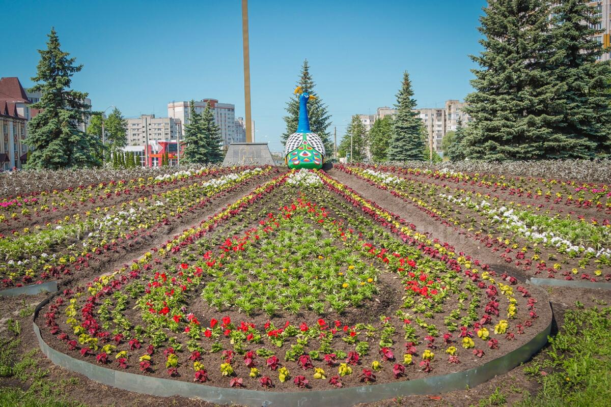 Жар-птица из цветов встречает автомобилистов на въезде в Брянск