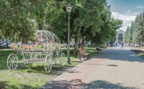Карету в сквере Карла Маркса в Брянске украсили петунии