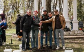 Аллея Российского театрального общества появилась в Брянске