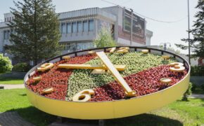 Более 150 тысяч садовых цветов высадят в Брянске в начале лета