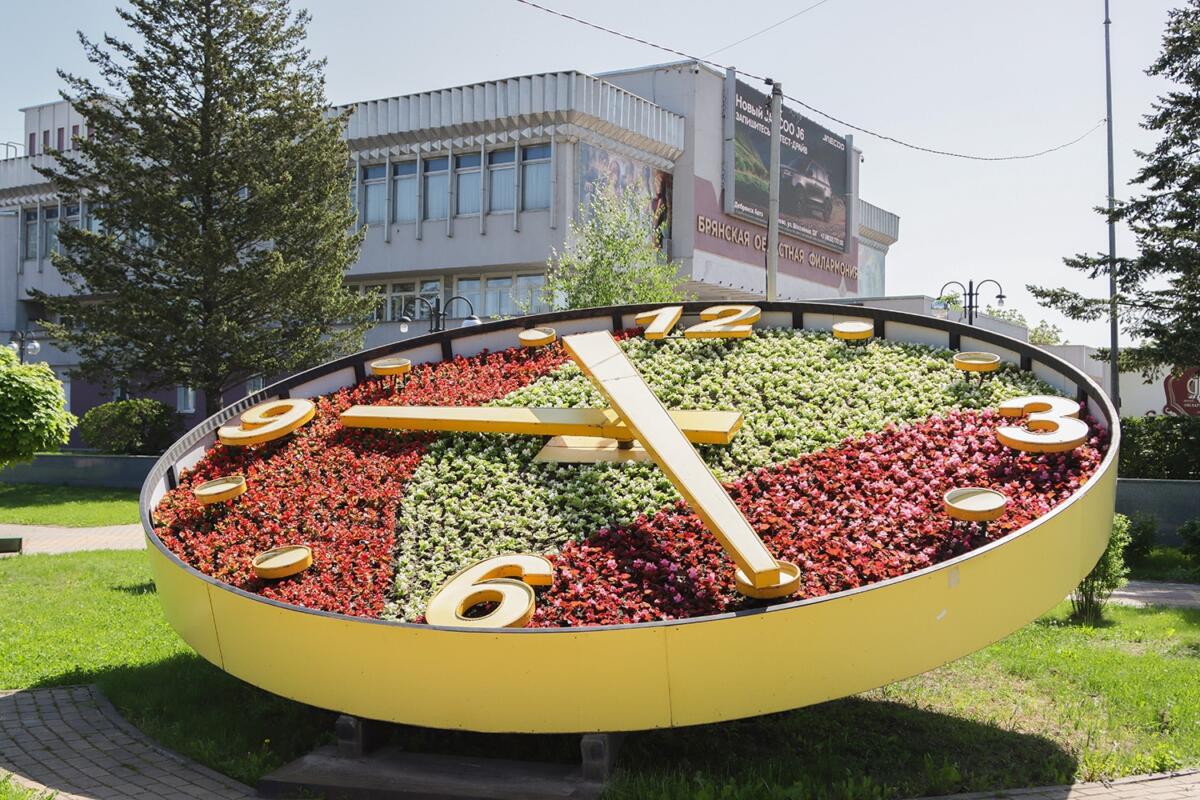 Более 150 тысяч садовых цветов высадят в Брянске в начале лета