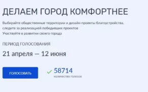 Участниками голосования за выбор объектов благоустройства стали более 50 тысяч брянцев