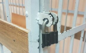 58-летний житель Дубровки проведёт девять лет в колонии за убийство