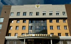 Обвиняемый в мошенничестве и легализации брянец предстанет перед судом