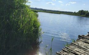 Подросток утонул на озере в Клинцовском районе