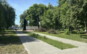 23 больных дерева срубили на улице Ульянова в Брянске