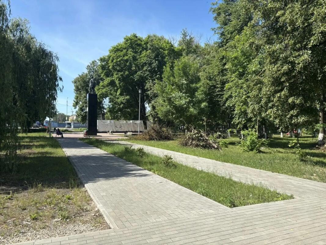 23 больных дерева срубили на улице Ульянова в Брянске