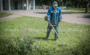 Более 115 тысяч квадратных метров травы скосили в Брянске