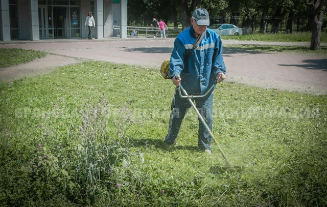 Более 115 тысяч квадратных метров травы скосили в Брянске