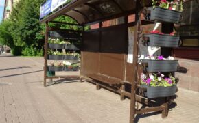 На проспекте Ленина в Брянске «зацвела» остановка