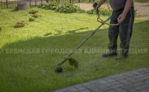 Более 87 тысяч квадратных метров травы скосили в Брянске за сутки