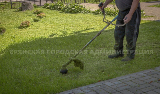 Более 87 тысяч квадратных метров травы скосили в Брянске за сутки
