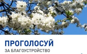 До завершения онлайн-голосования за объекты благоустройства в Брянской области остался один день