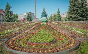 Брянск цветёт: как город превращается в живую инсталляцию