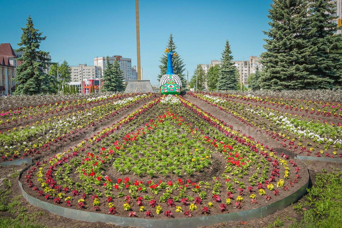 Брянск цветёт: как город превращается в живую инсталляцию