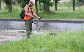 38 рабочих ежедневно косят траву в Брянске