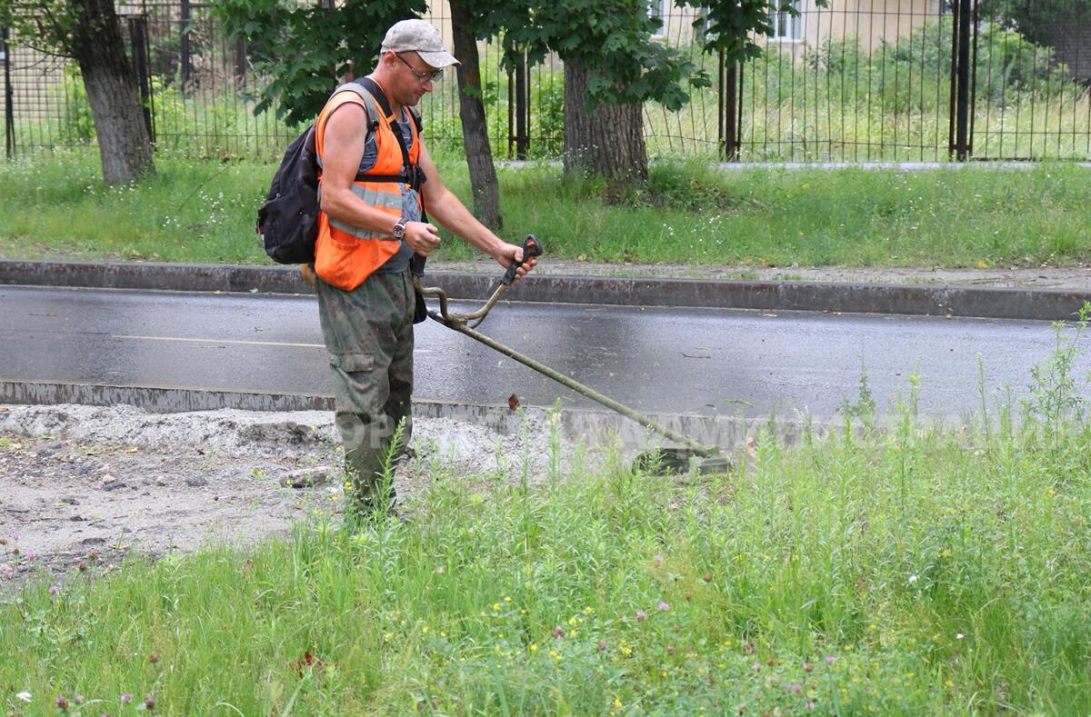 38 рабочих ежедневно косят траву в Брянске