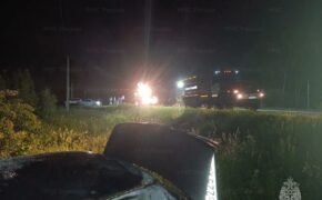 Автомобиль упал в кювет и загорелся на брянской трассе